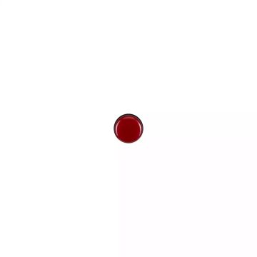 GenNext Pro LED Indicator Red 240V AC