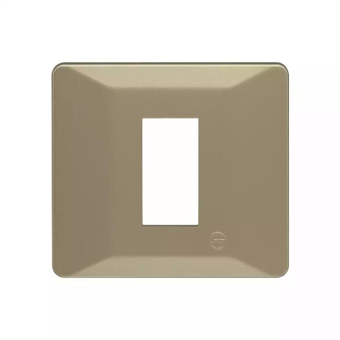 entice 1 module plate- Gold Rush main product photo