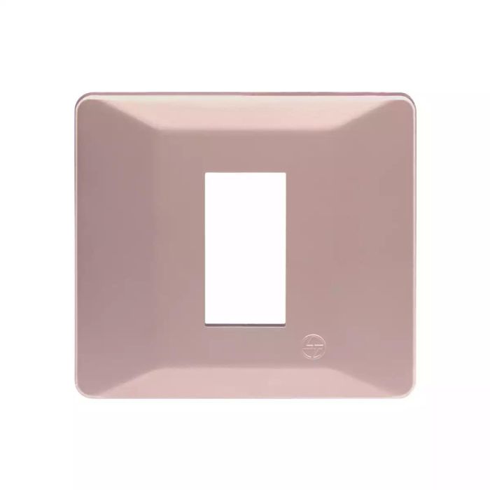 entice 1 module plate- Rose Gold main product photo