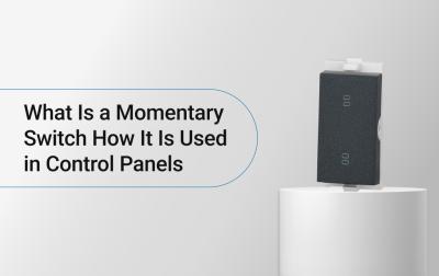 What Is a Momentary Switch? How It Is Used in Control Panels