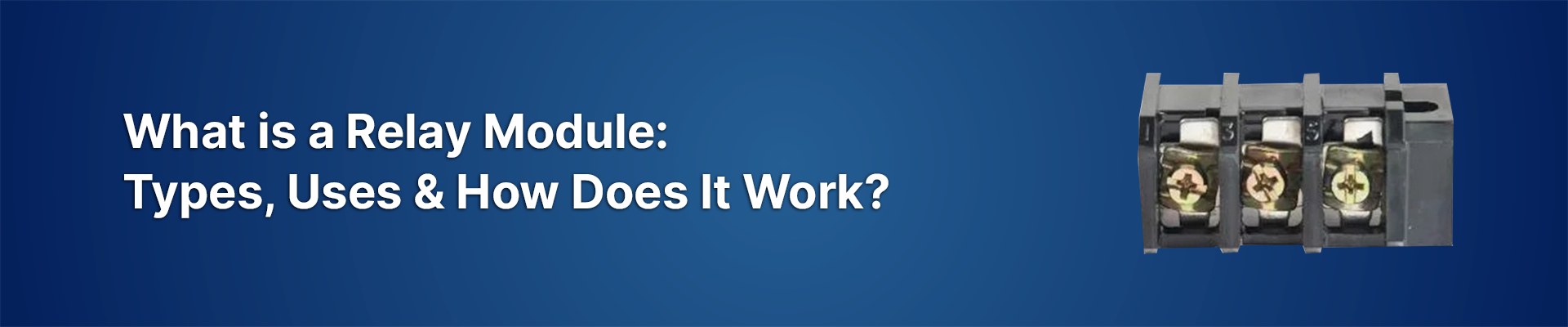 What is a Relay Module?